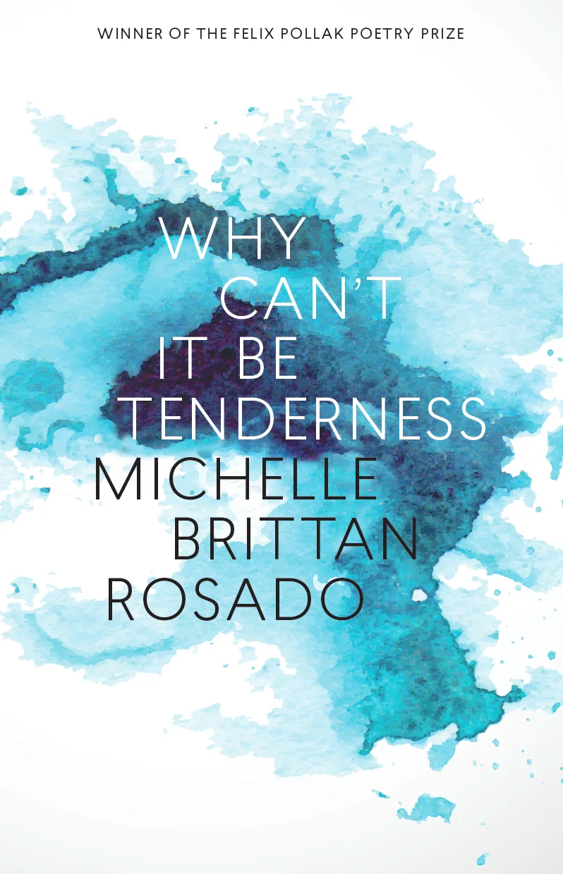 WCIBT cover.jpg