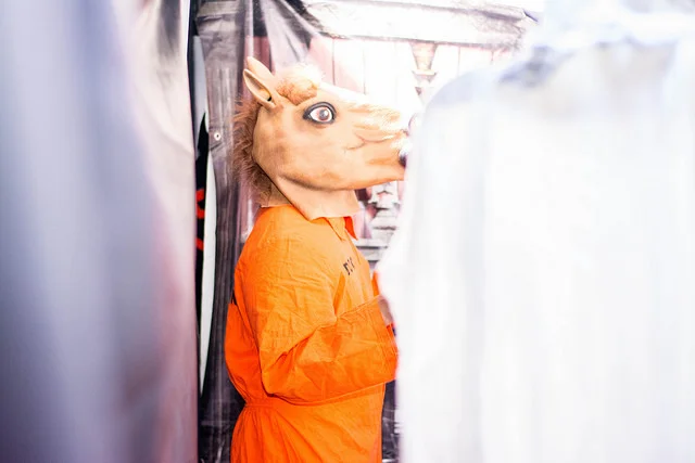 "I am excited for the haunted house. I heard it's scary, but it's free, so it shouldn't be so scary that it kills me."