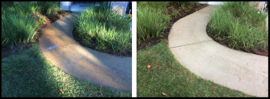 Sidewalk Cleaning & Rust Stain Removal