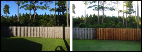 Wood Fence Cleaning