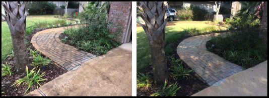 Brick Paver Cleaning