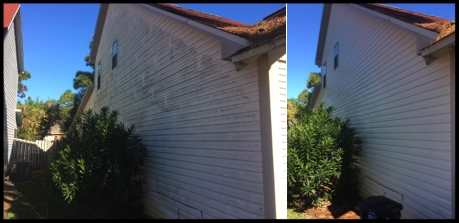 Vinyl Siding Cleaning