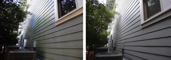 Mold on Hardiplank Siding