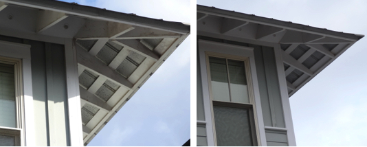 Mildew on Exposed Rafters