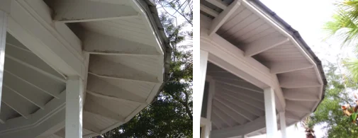Mildew on Exposed Rafters
