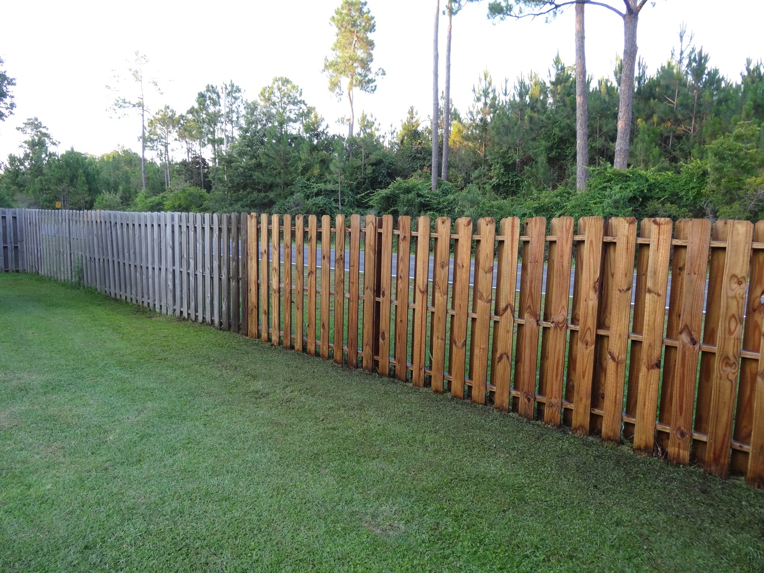 Weathered Fence Renew