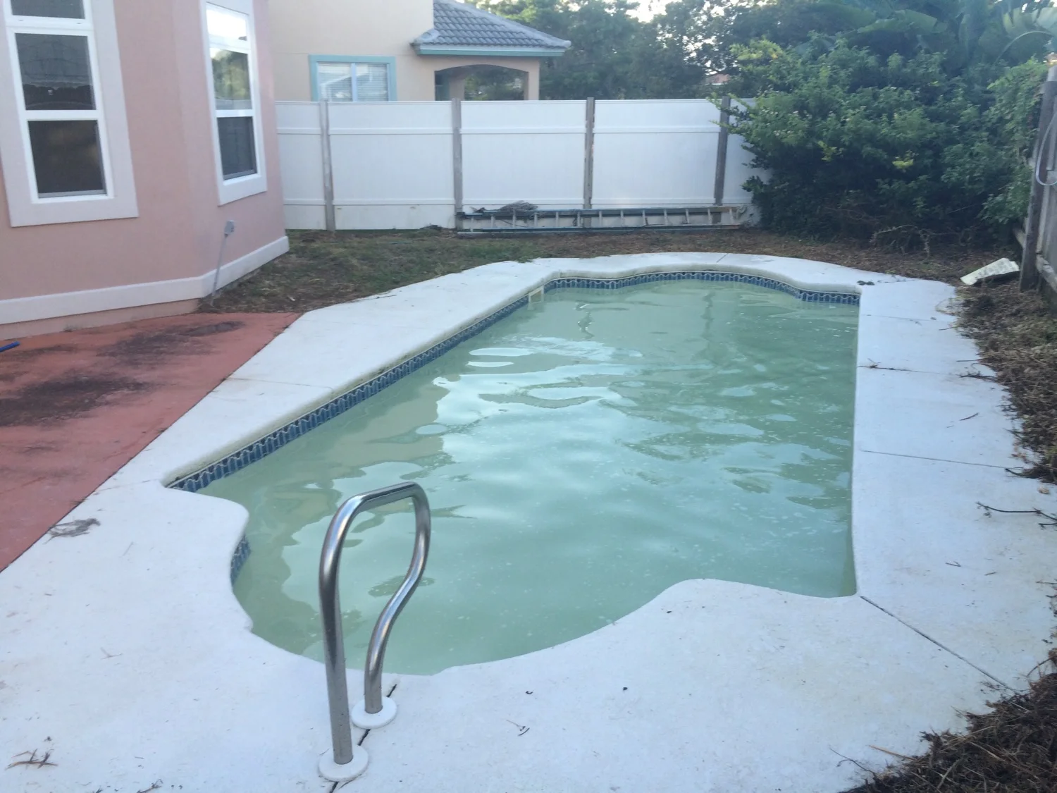 Day 2 - Clean all baskets, Backwash the sand filter or clean the cartridge filter, Replace the lost water, Check c hlorine level every four hours and adjust to maintain high levels of chlorine throughout the day, If possible, vacuum the pool floor to remove dead algae, Brush the pool walls and pool floor, Brush and skim the pool several times throughout the day and clean the baskets, Run the pool pump and filter the water for 24 hours 
