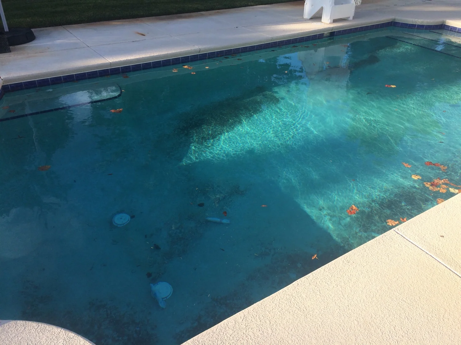 Before Black Algae Treatment