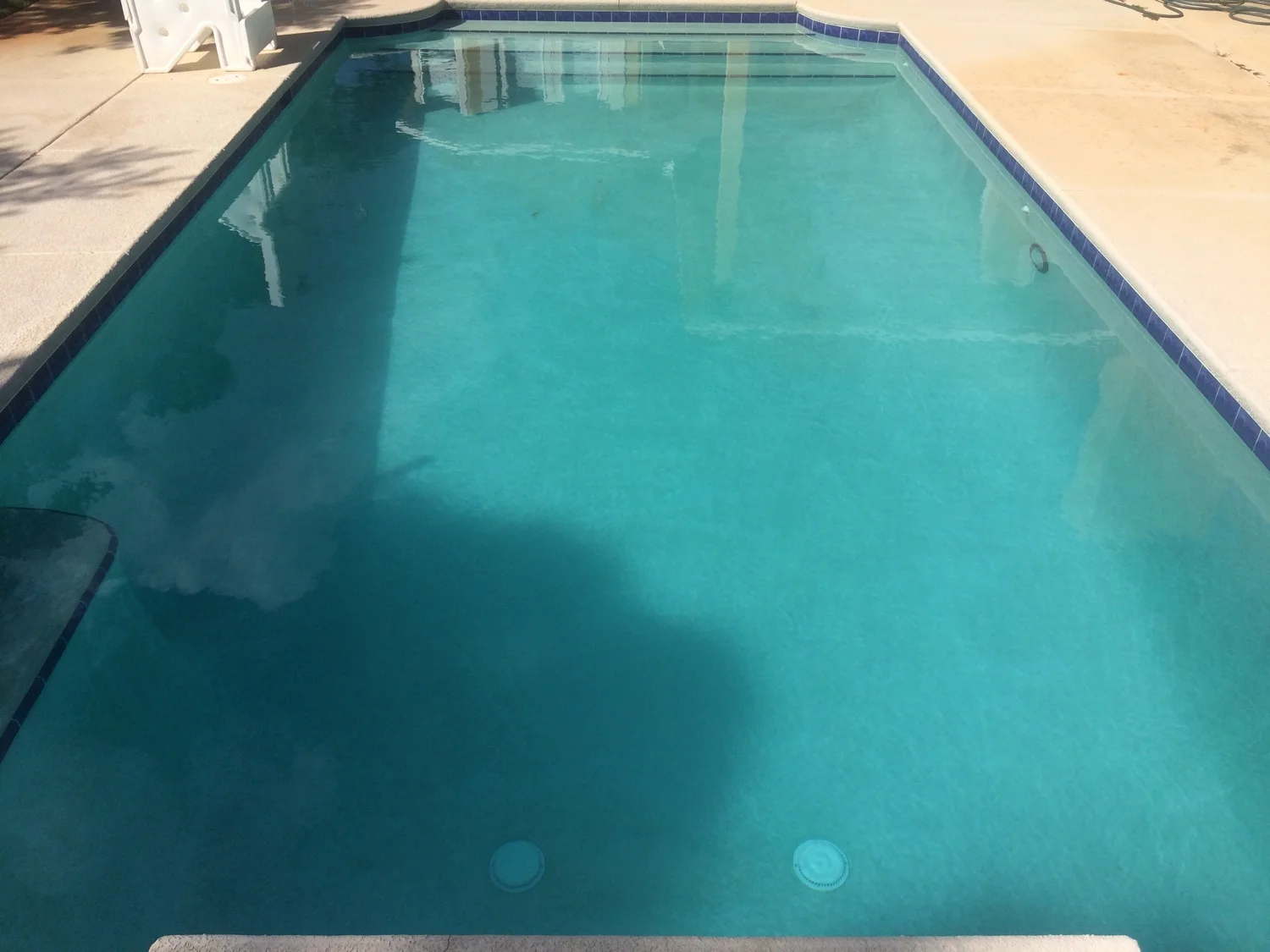 After Black Algae Treatment
