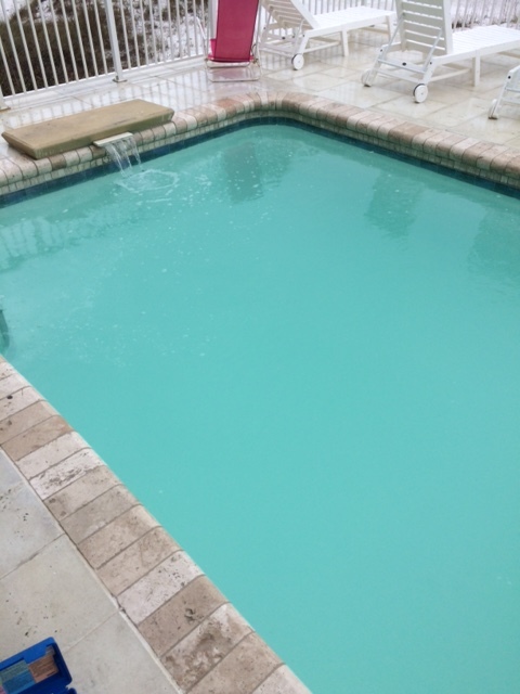 Green to Clean Pool Service
