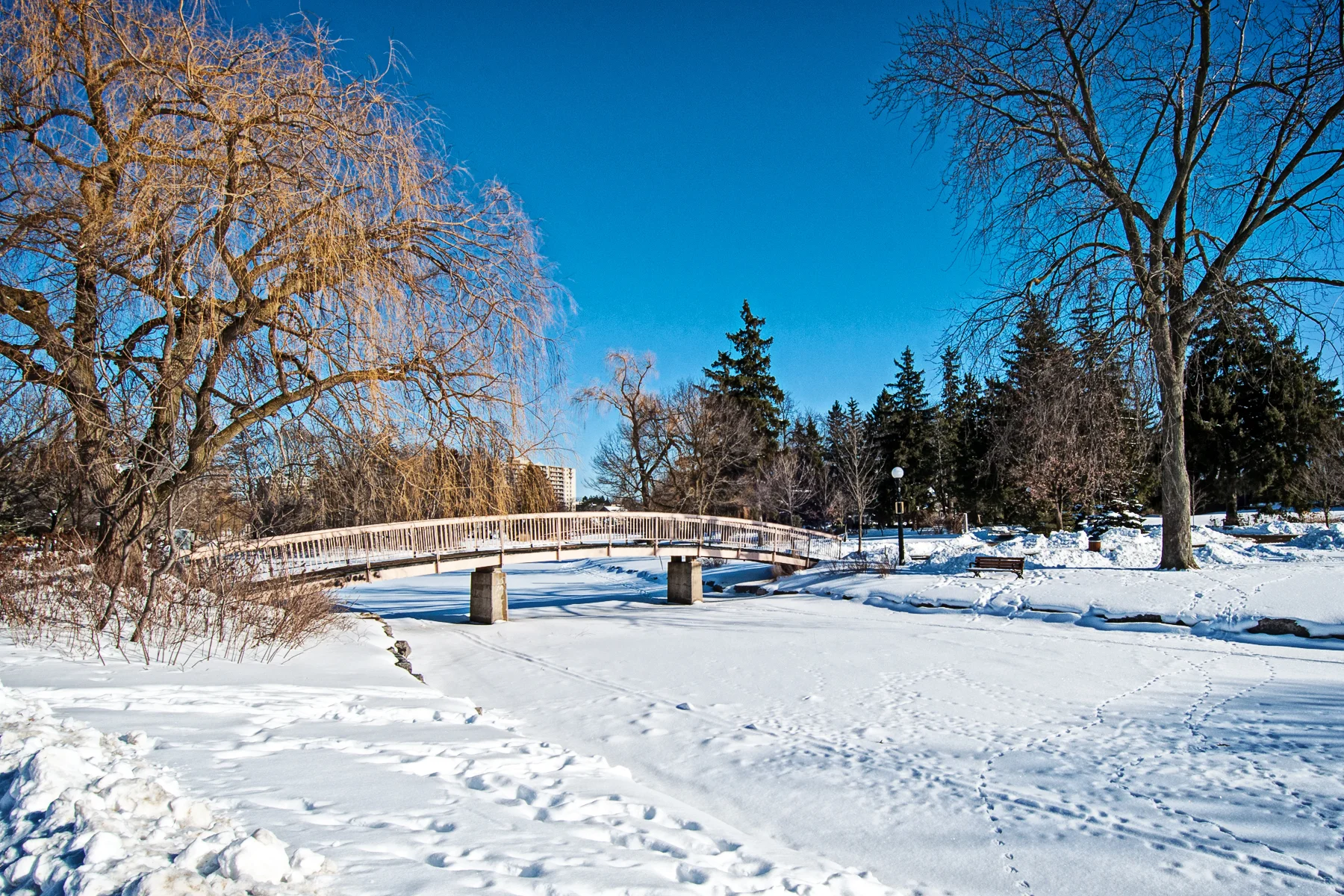 Victoria Park Winterlude_DSC1225 HDR.jpg
