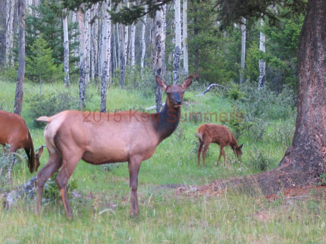 Web Site Photo778.jpg