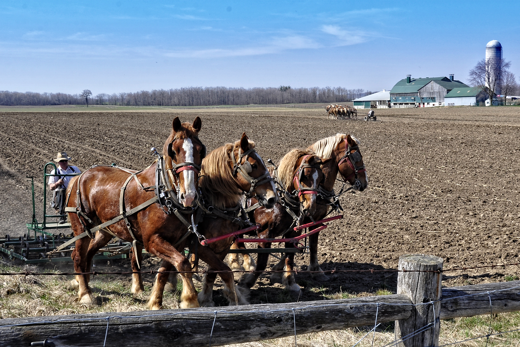 _DSC1093 Preparing the Land 1.jpg