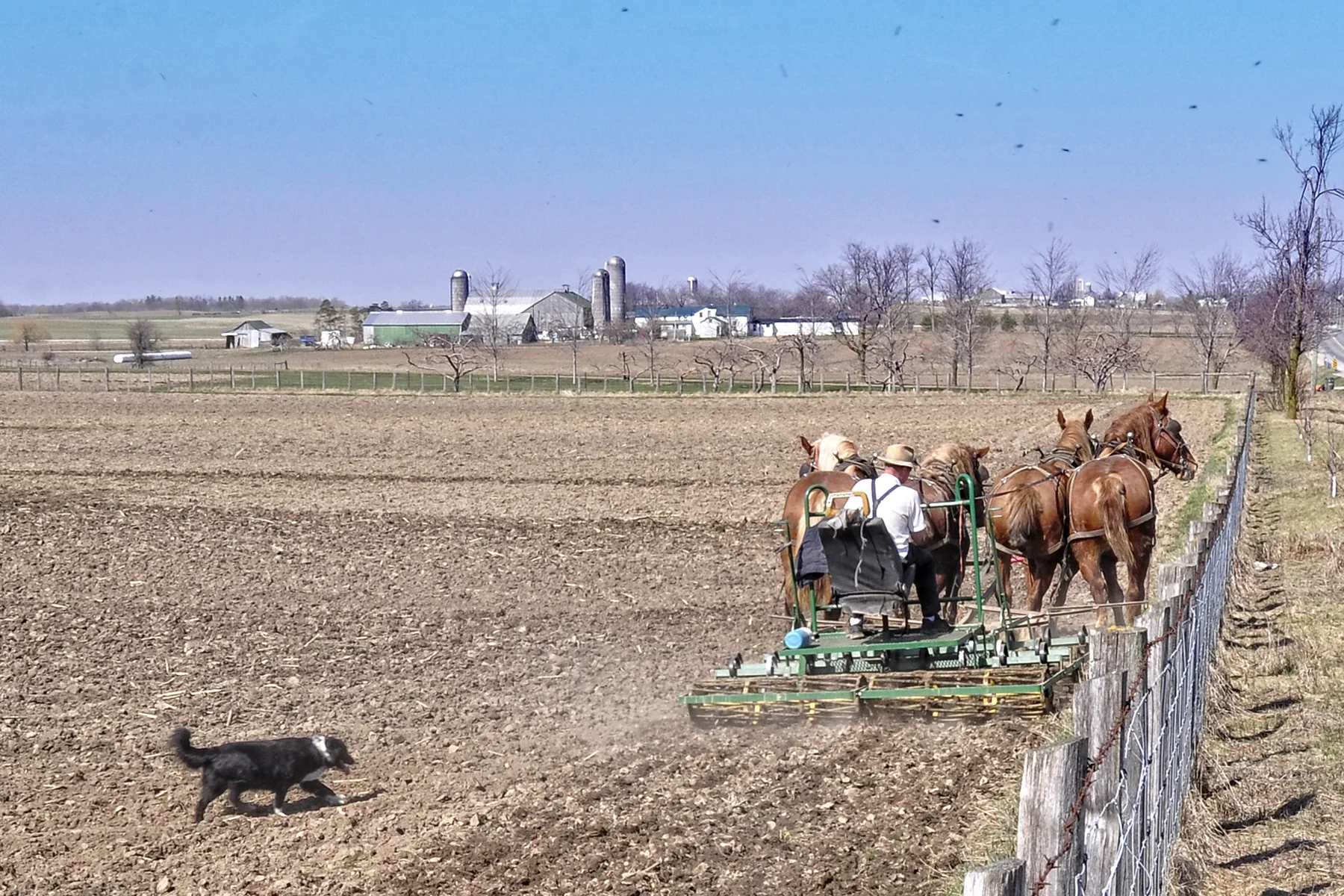 _DSC1096 Preparing the Land 2.jpg