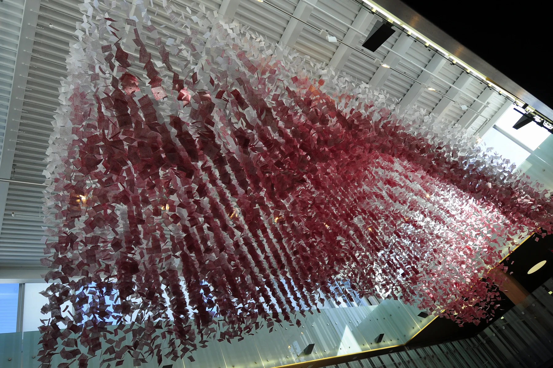 Kitchener Library Entrance _DSC1478.jpg