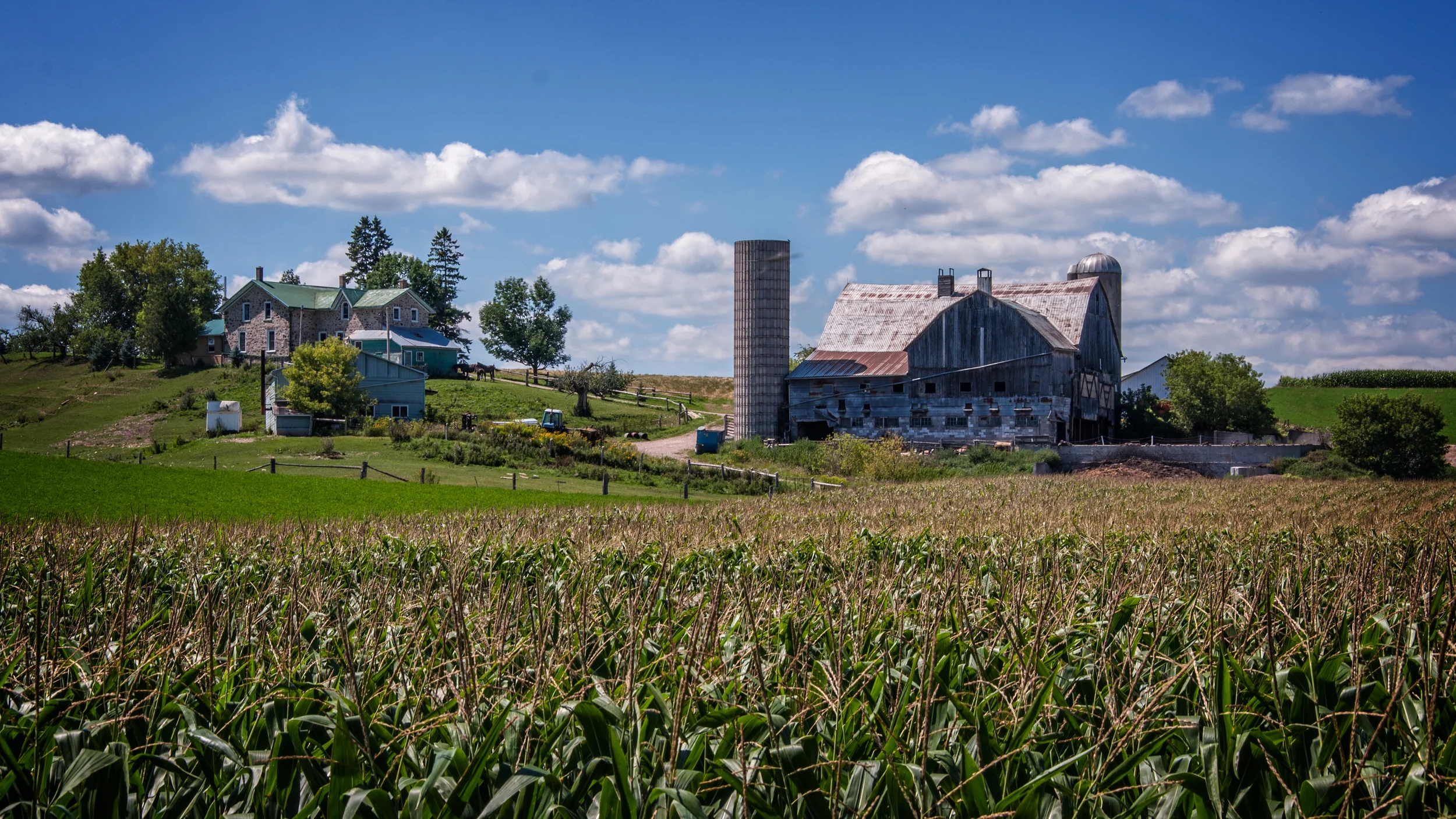 _DSC0469 Jigs Hollow Road 3.jpg