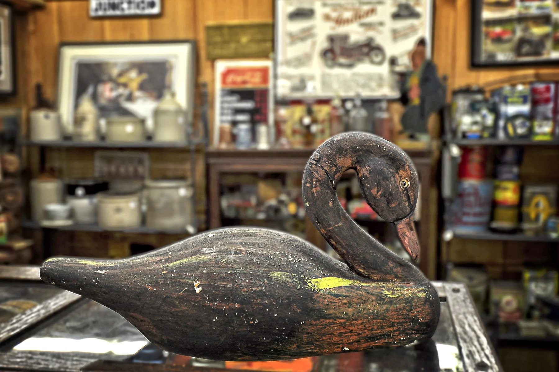 _DSC1892 Duck Decoy.jpg