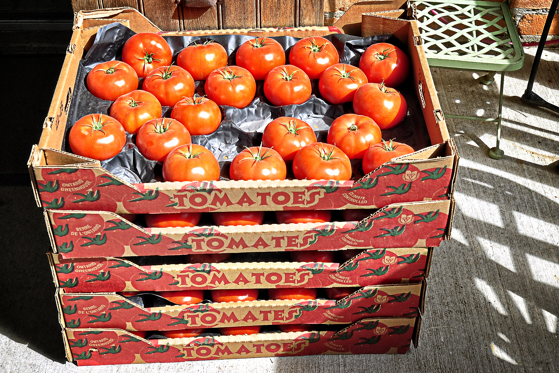 Farm Fresh Tomatoes