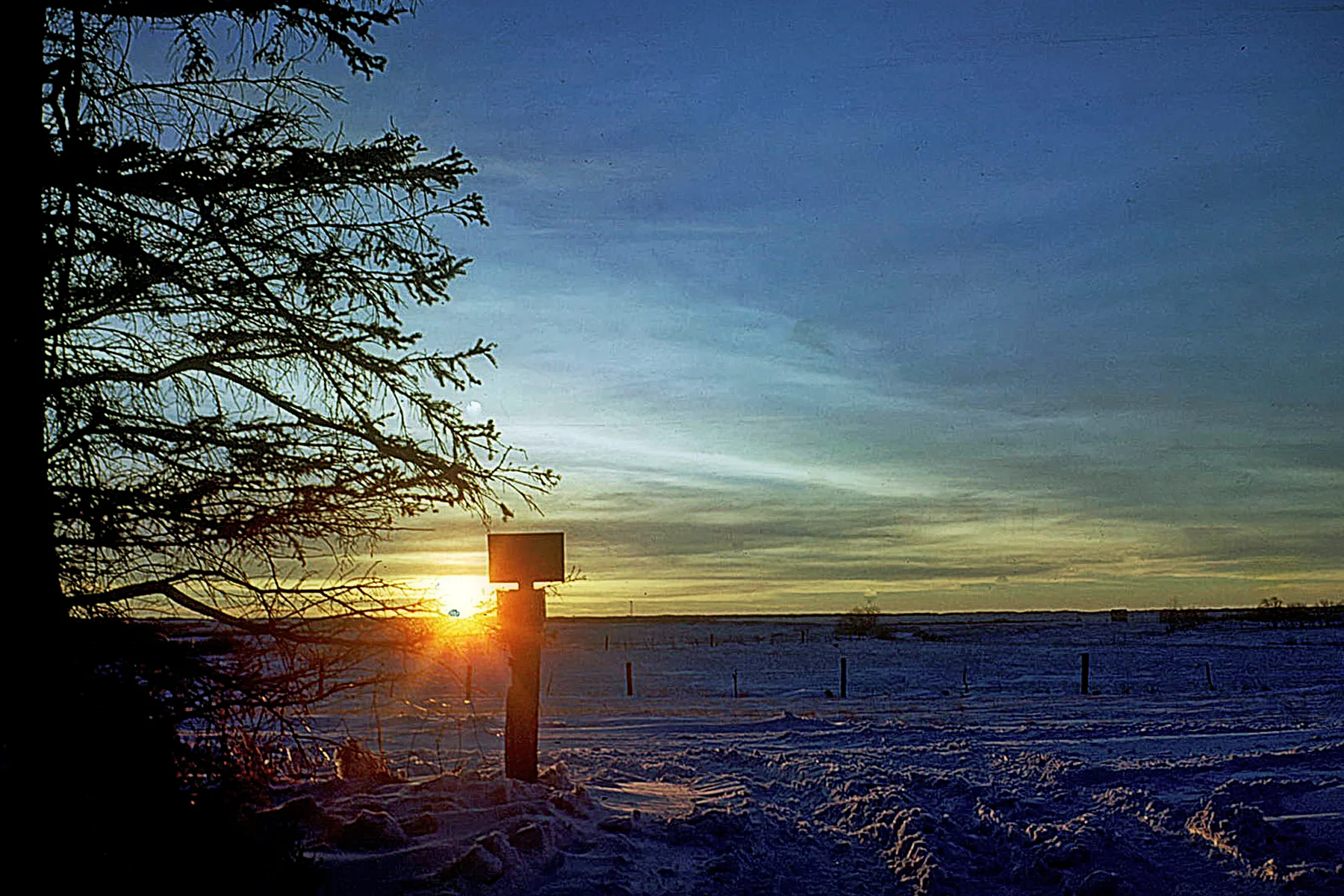 Farm Gate Sunset.jpg