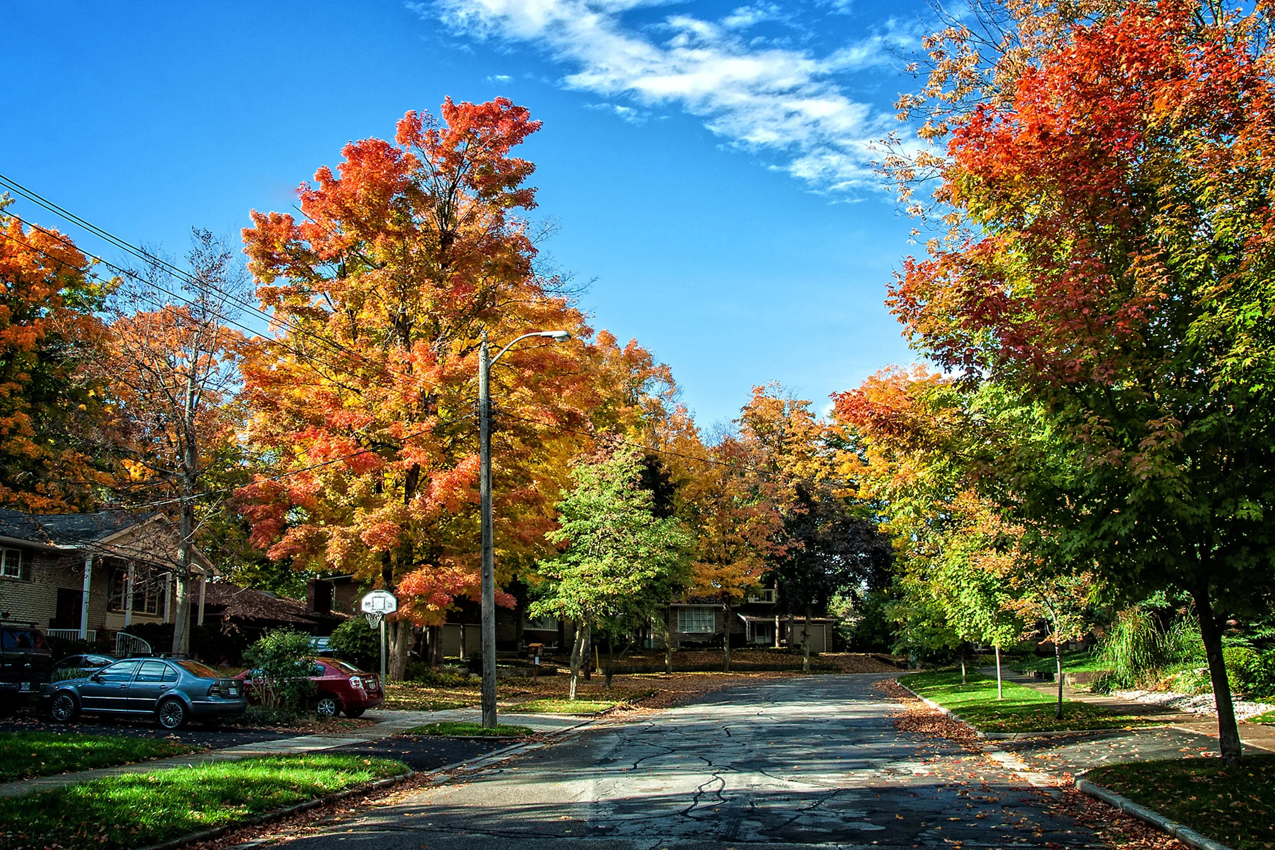 Glenwood Drive  _DSC1860.JPG