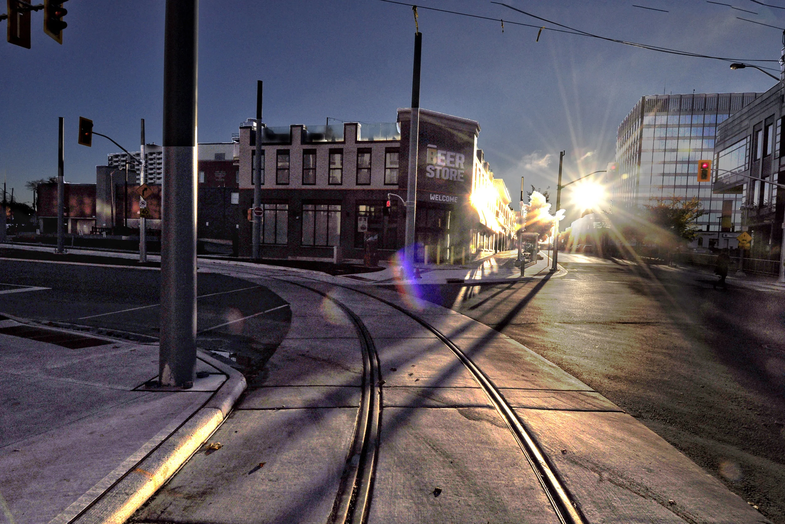 _DSC2535 Nov 4 LTR tracks into sun.jpg
