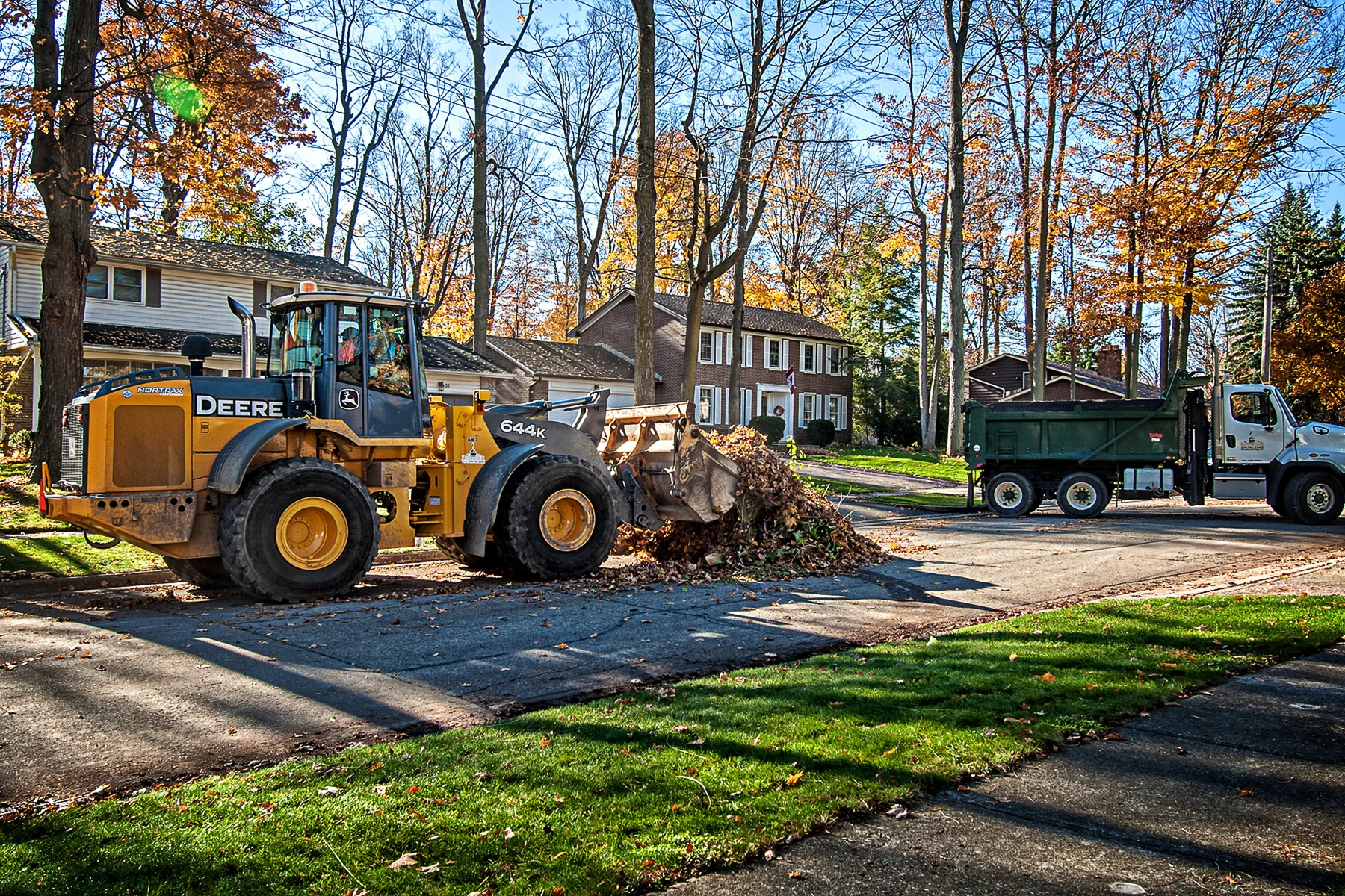 Leaf Collection near Shuh Bush copy.jpg