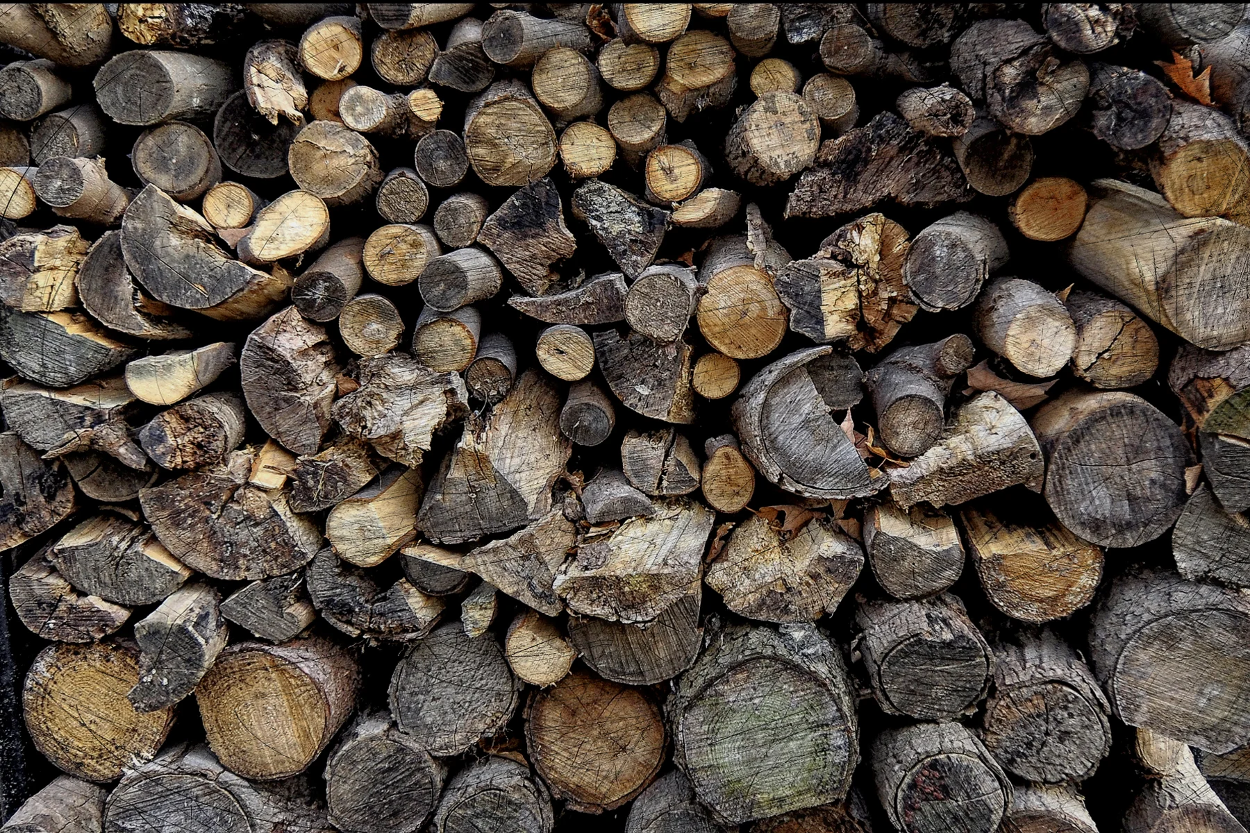 _DSC0446 copy copy.jpg