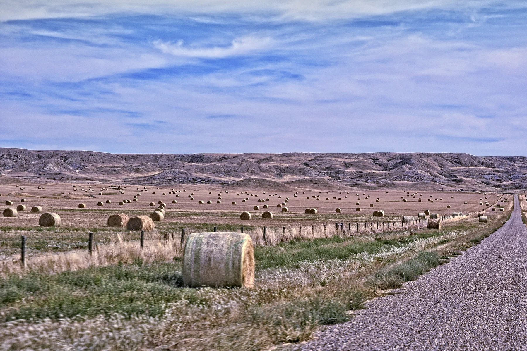 _DSC0086 Grasslands Park .jpg