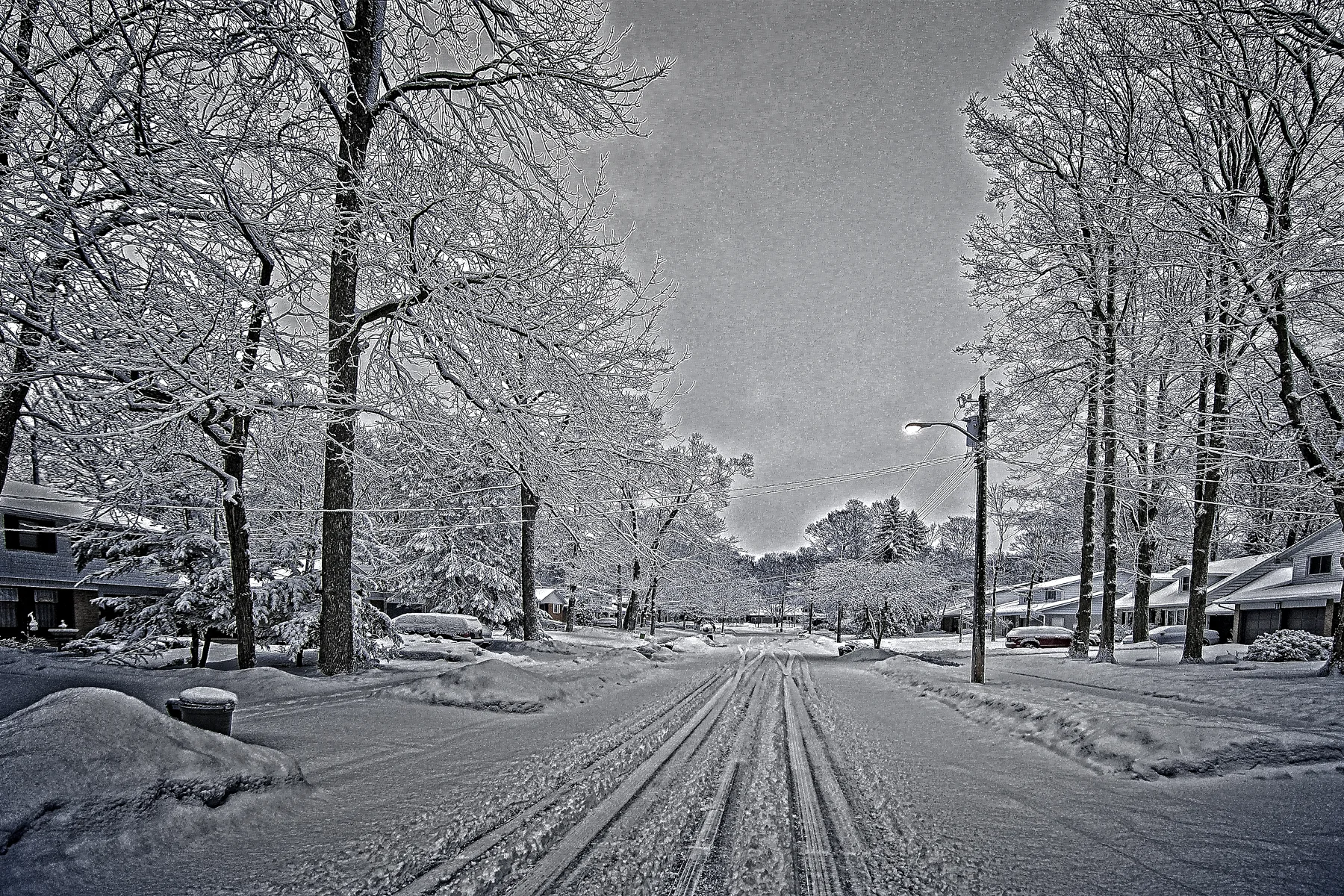 _DSC2889 copy Jack Frost magic.jpg