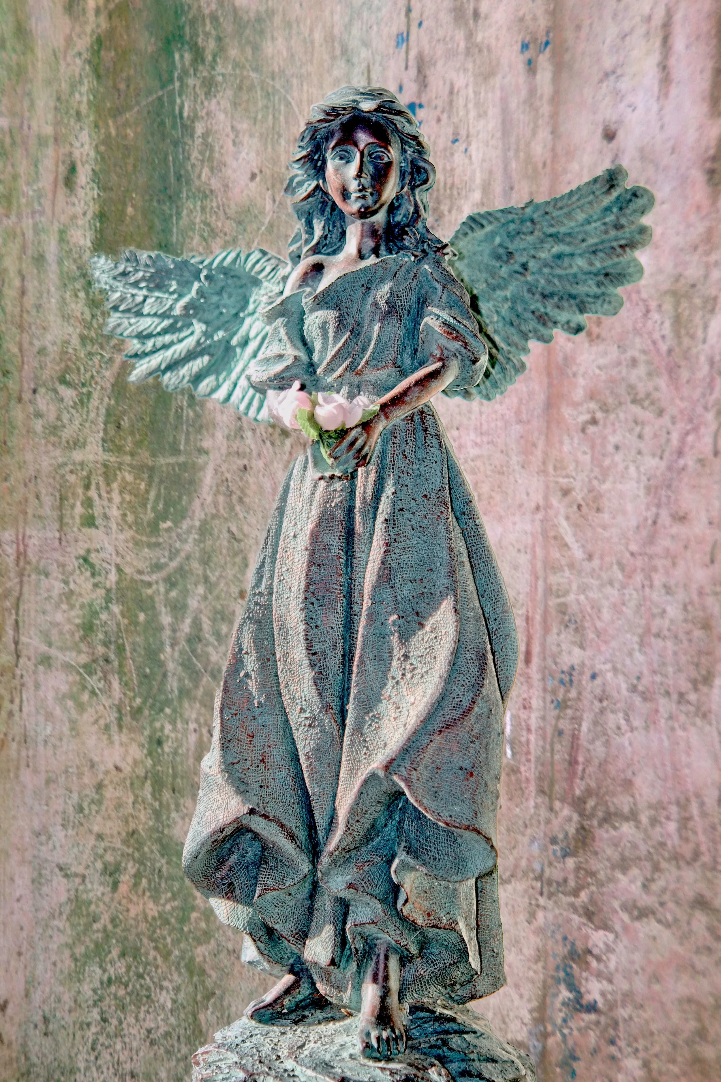 Angel   2 Mar 16 2017_DSC3436 copy.jpg