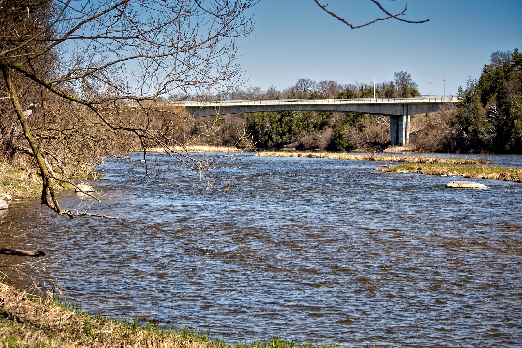 FW Grand River 2  April 14  2017_DSC3896 copy.jpg