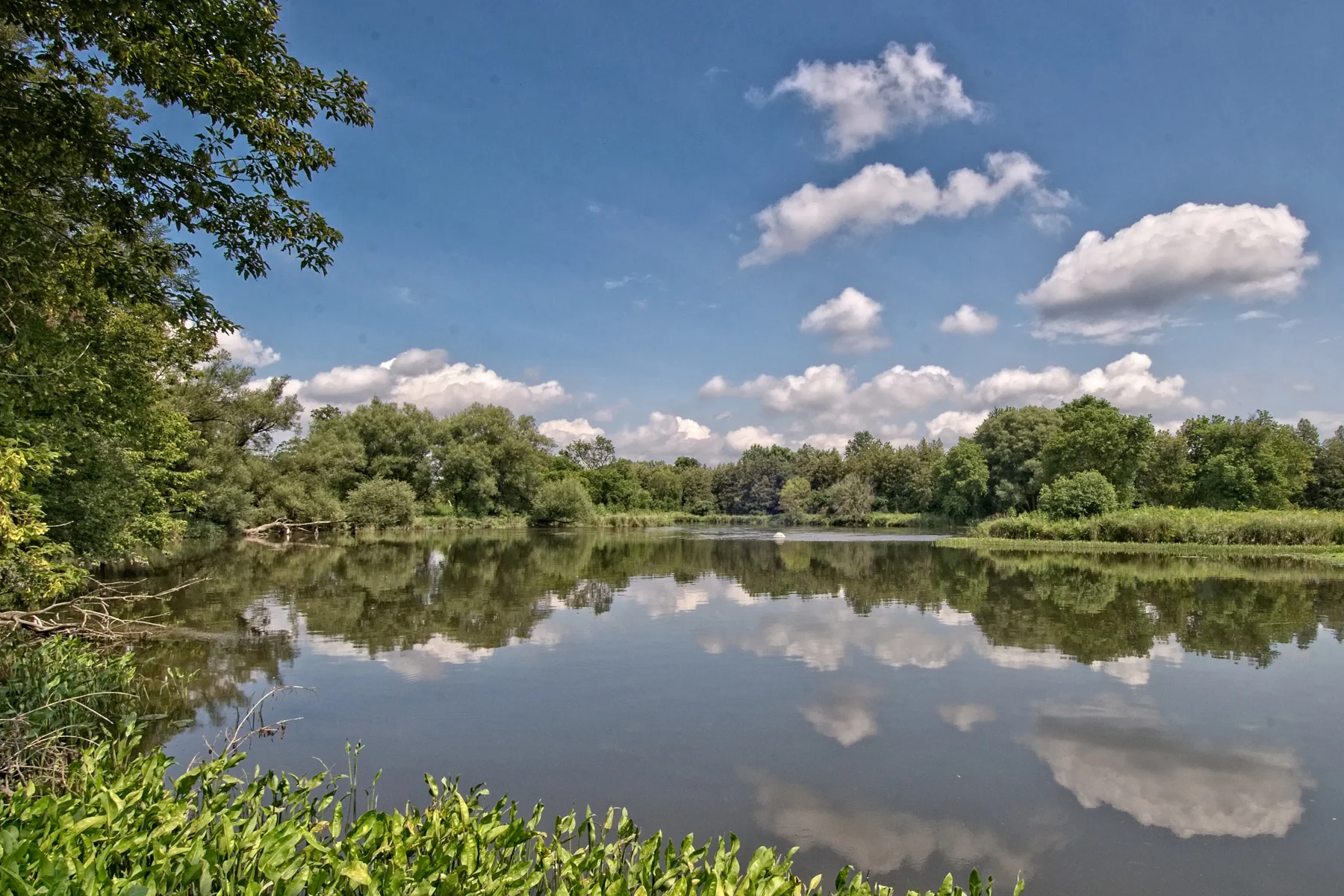 Black Bridge and Speed River 2_DSC4547 copyResize.jpg