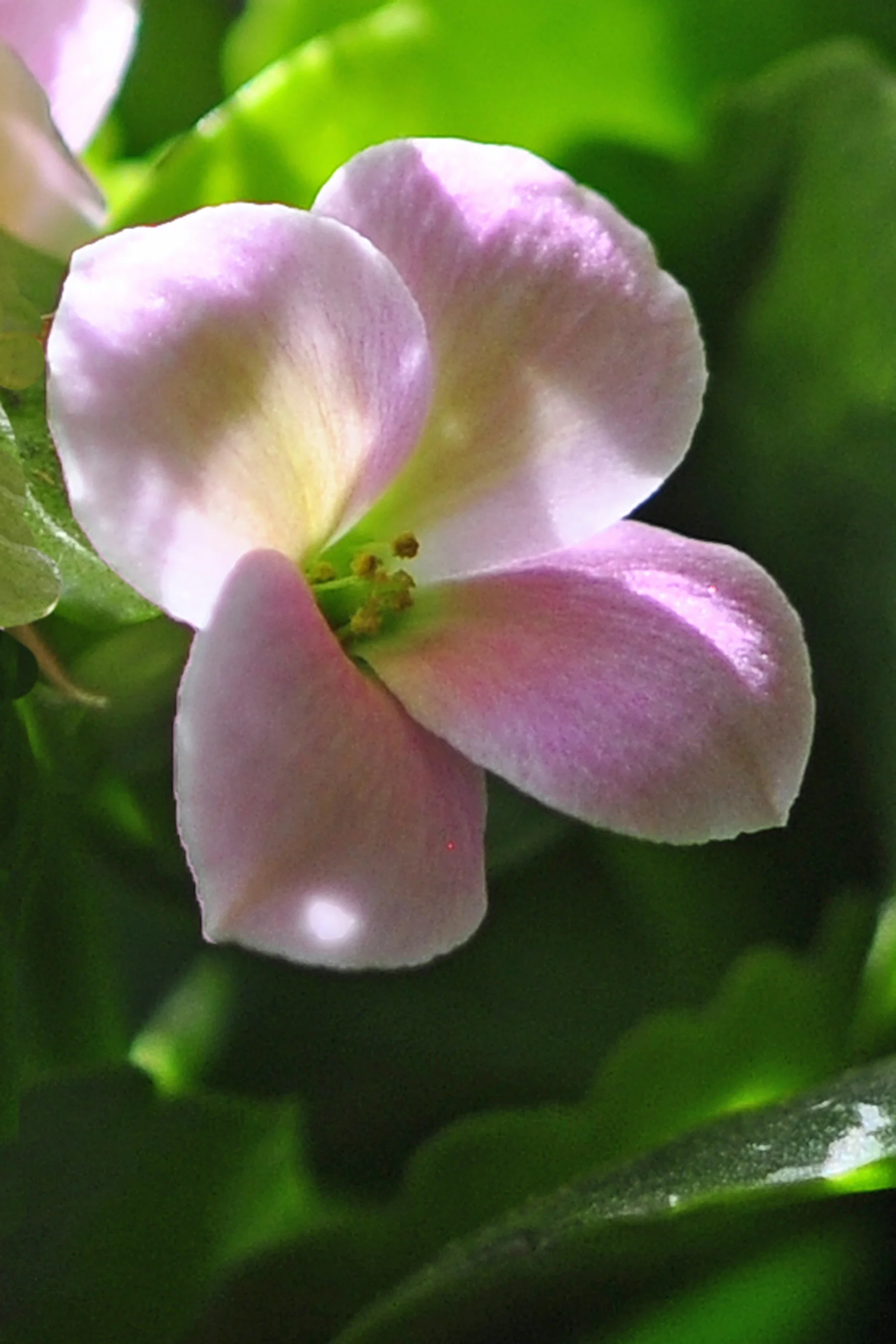 _DSC4121 copyResize.jpg