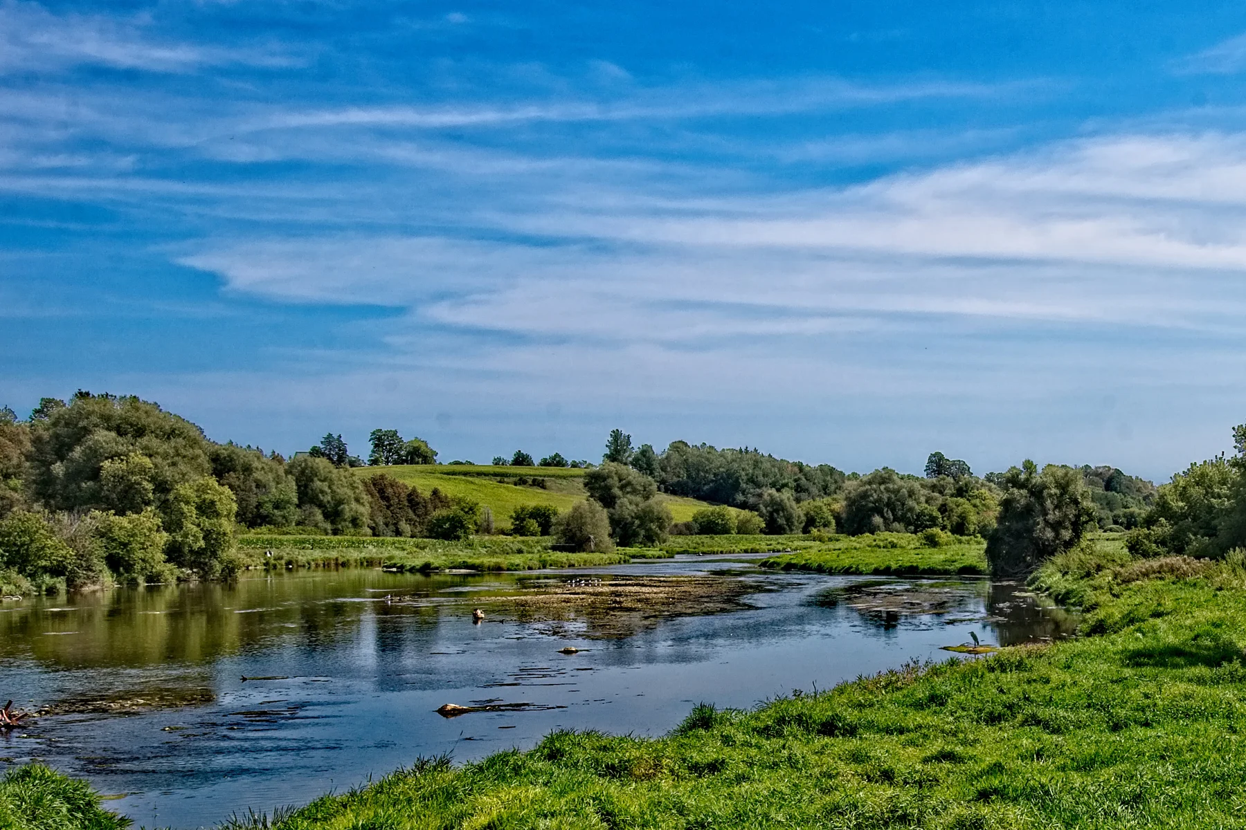 Grand River from Buggy Bridge 2_DSC4769 copyResize.jpg