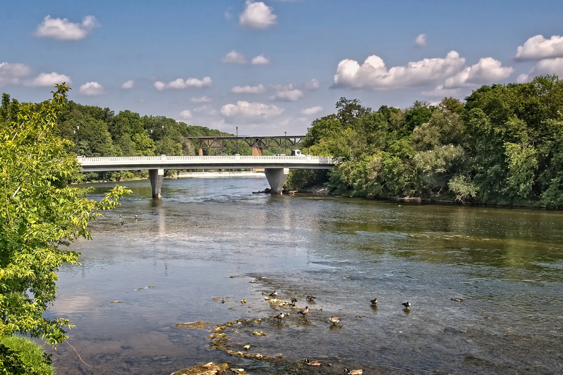 Paris  Bridges 1  _DSC4725 copyResize.jpg