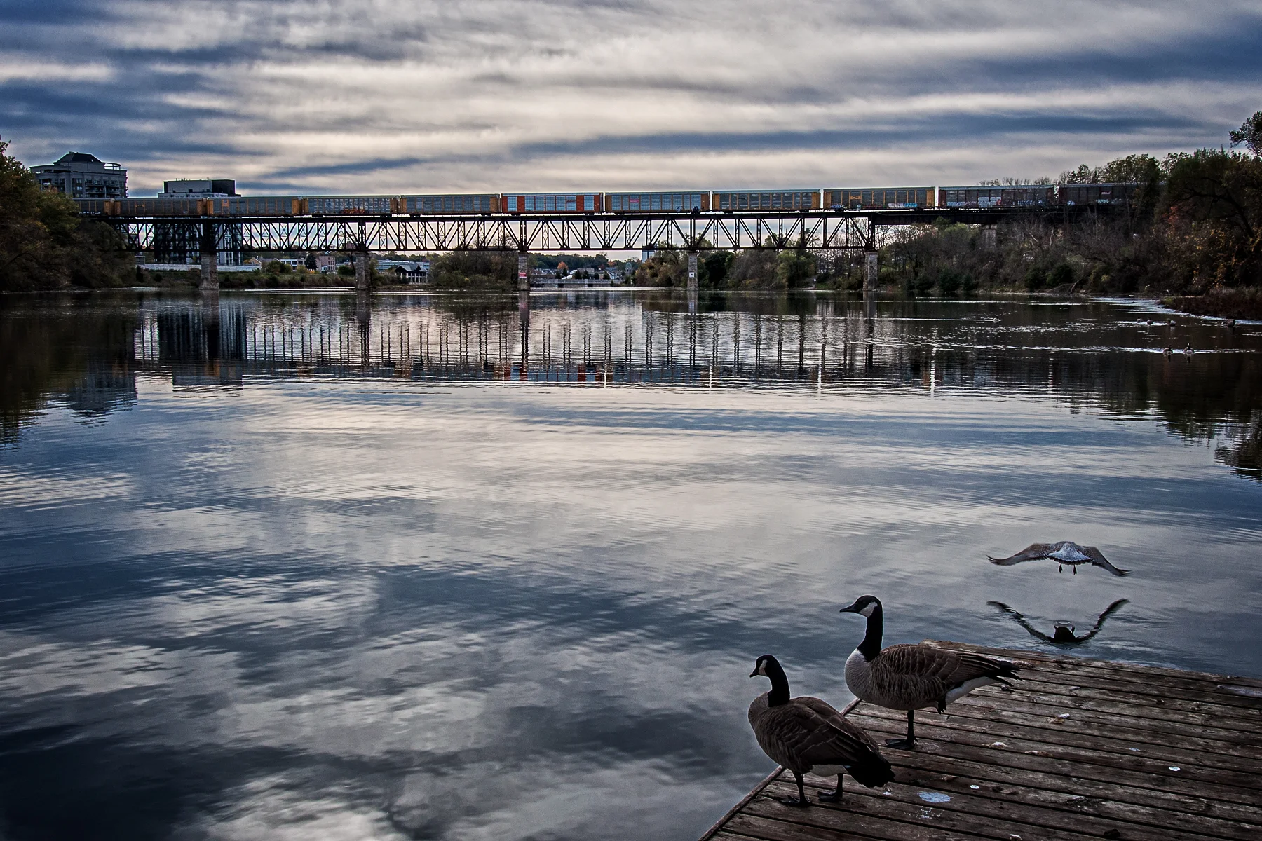 _DSC2484 Frosty Morning on the Grand in Cambridge.jpg