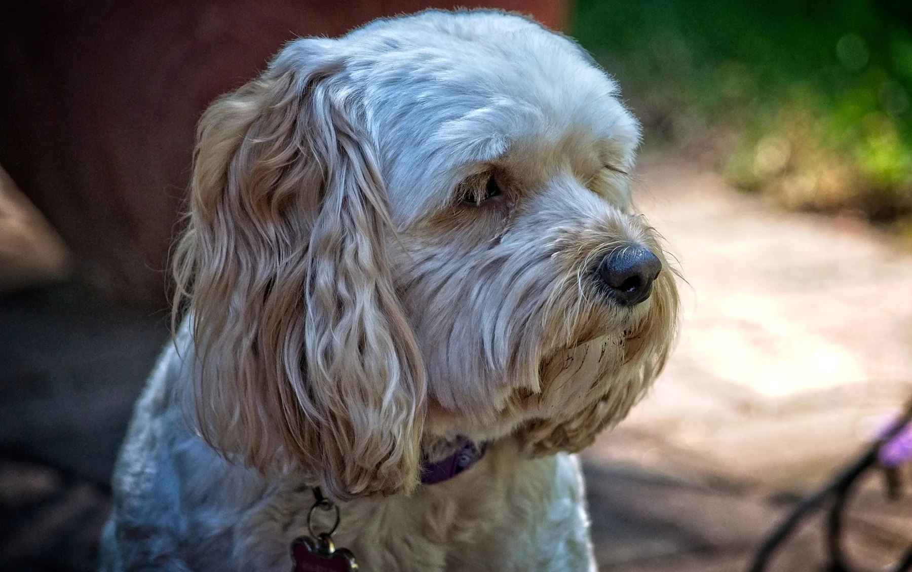 Noelle  Portrait six _DSC1330Resize.jpg