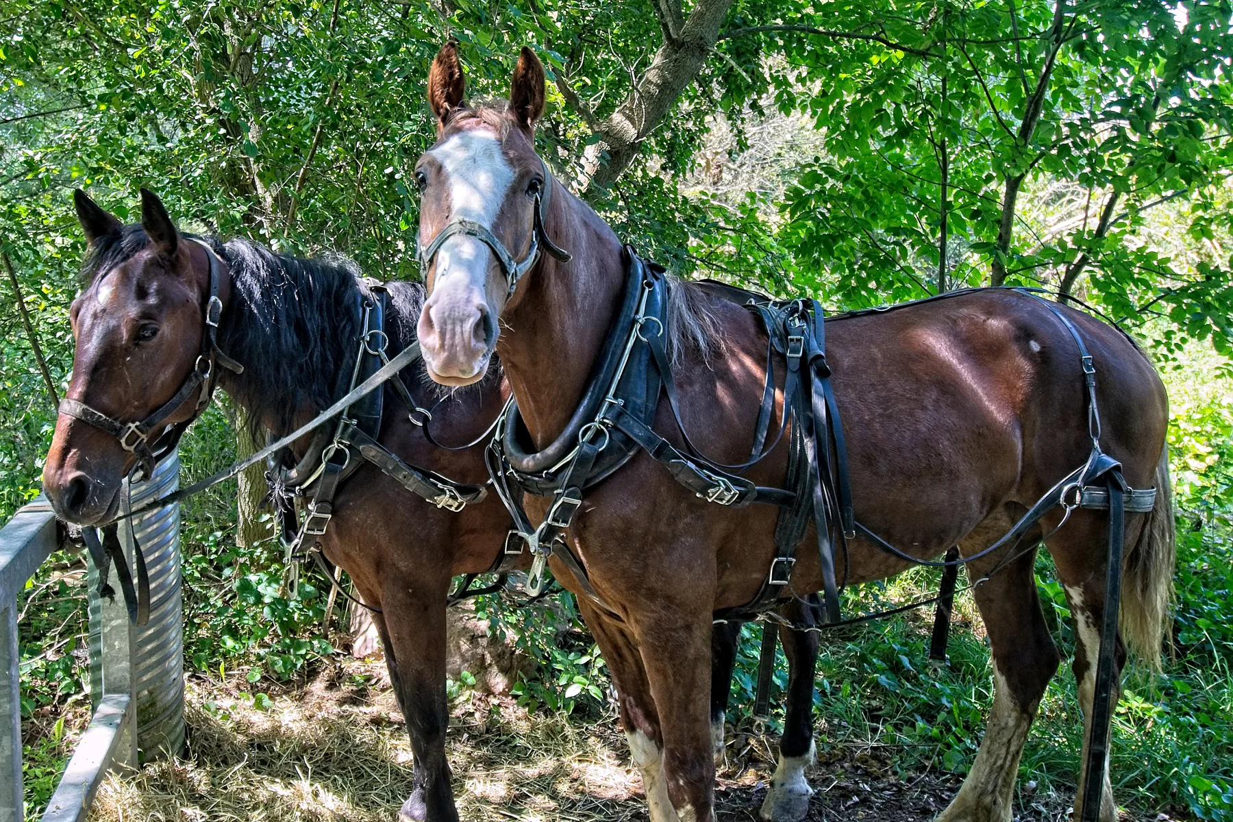 Team taking a break    _DSC0006Resize.jpg