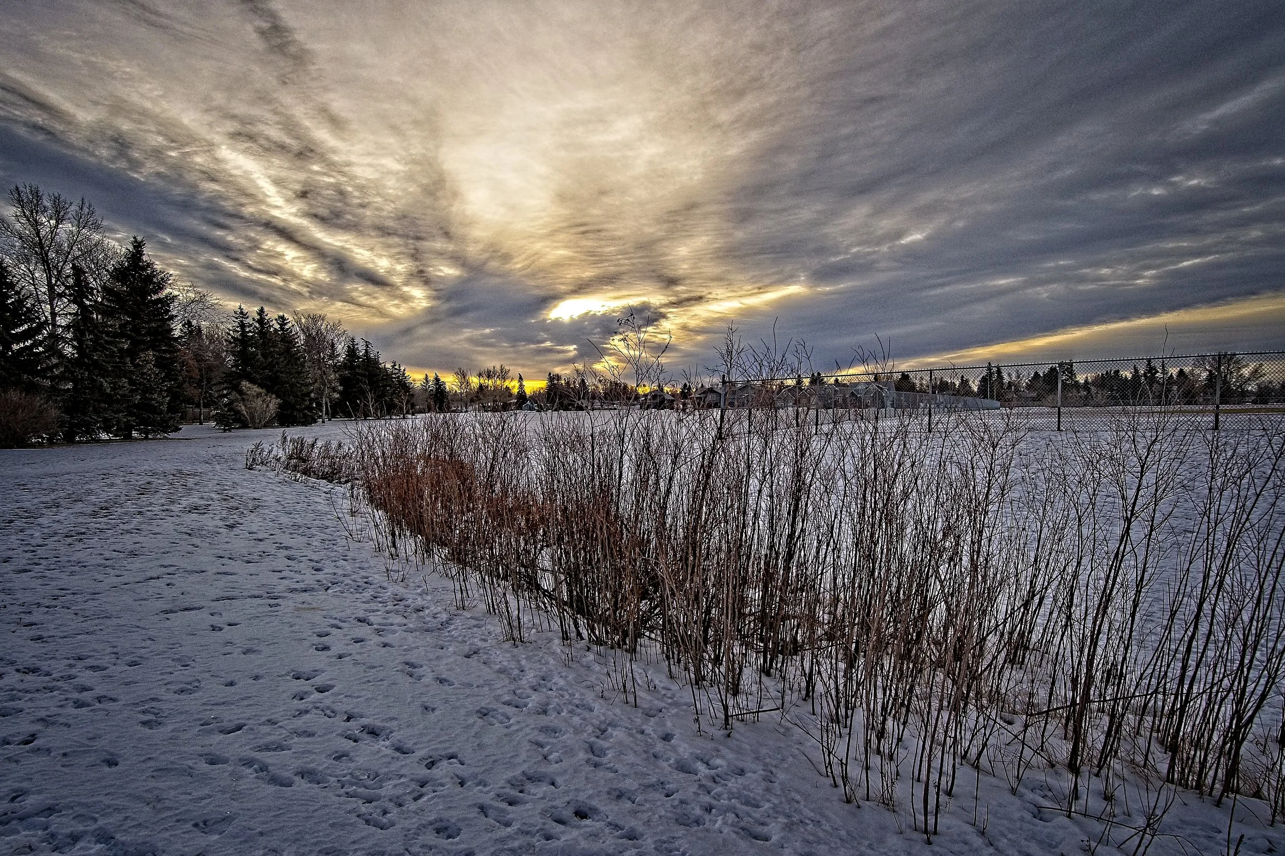 Regina Sunrise walk _DSC0808.jpg