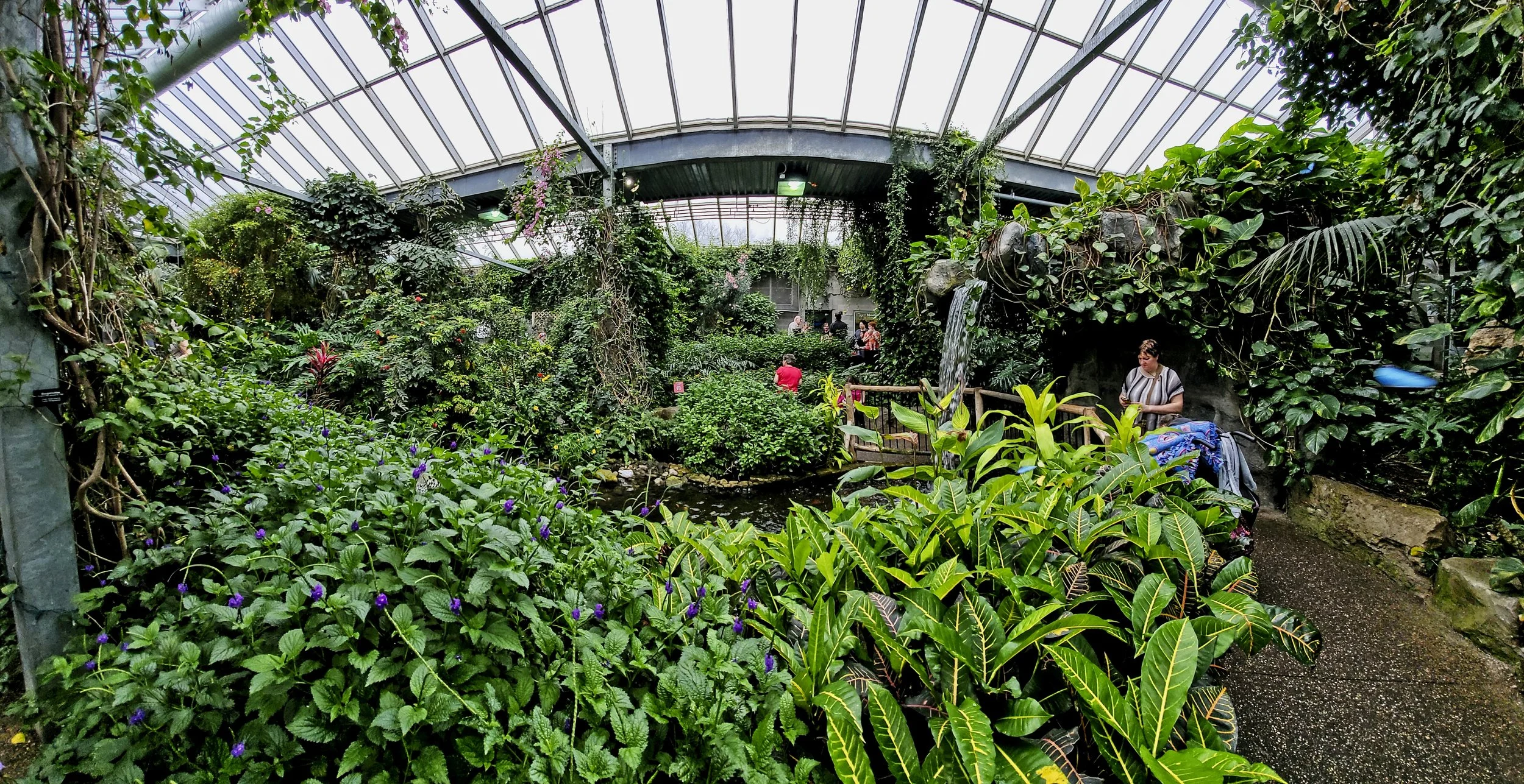 BF Conserv Panorama 4  20190321_124149.jpg