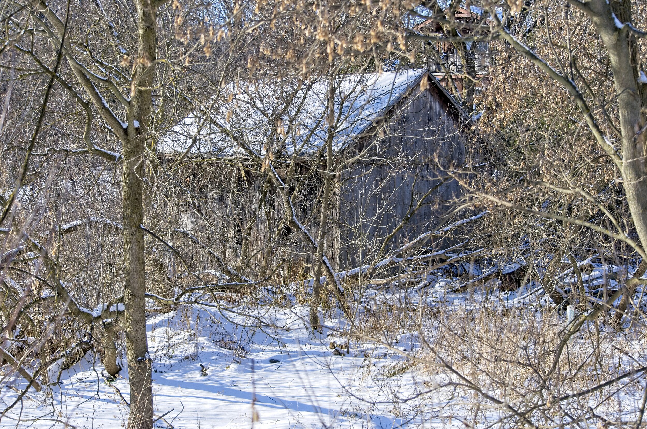 Cabin West Montrose.jpg