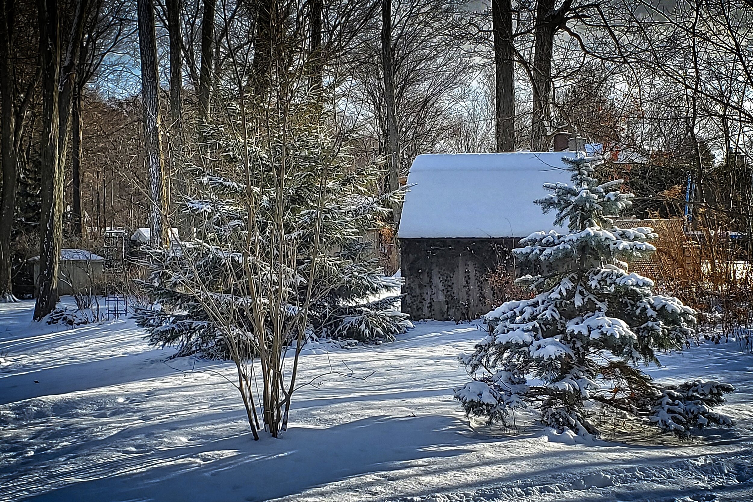 Winter Spectrum 2019 .jpg