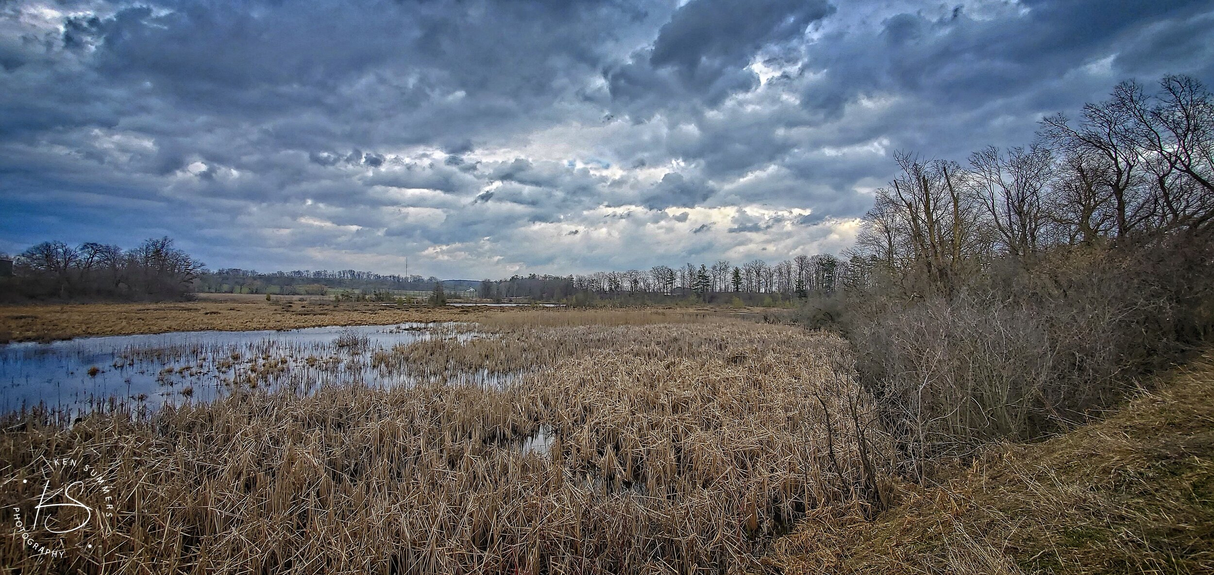 Grass Lake 2 20200419_153151-1.jpg