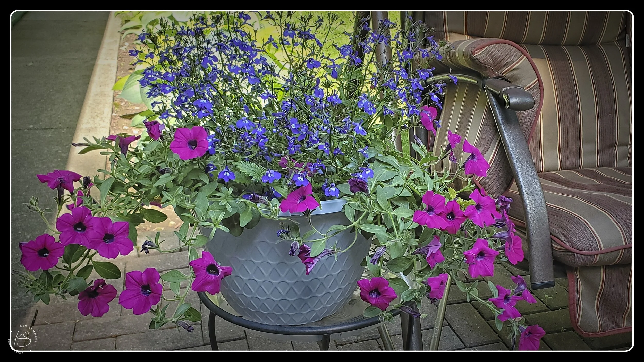 Cameron and Megan Flowers for Grandma 3 20200606_162505.jpg