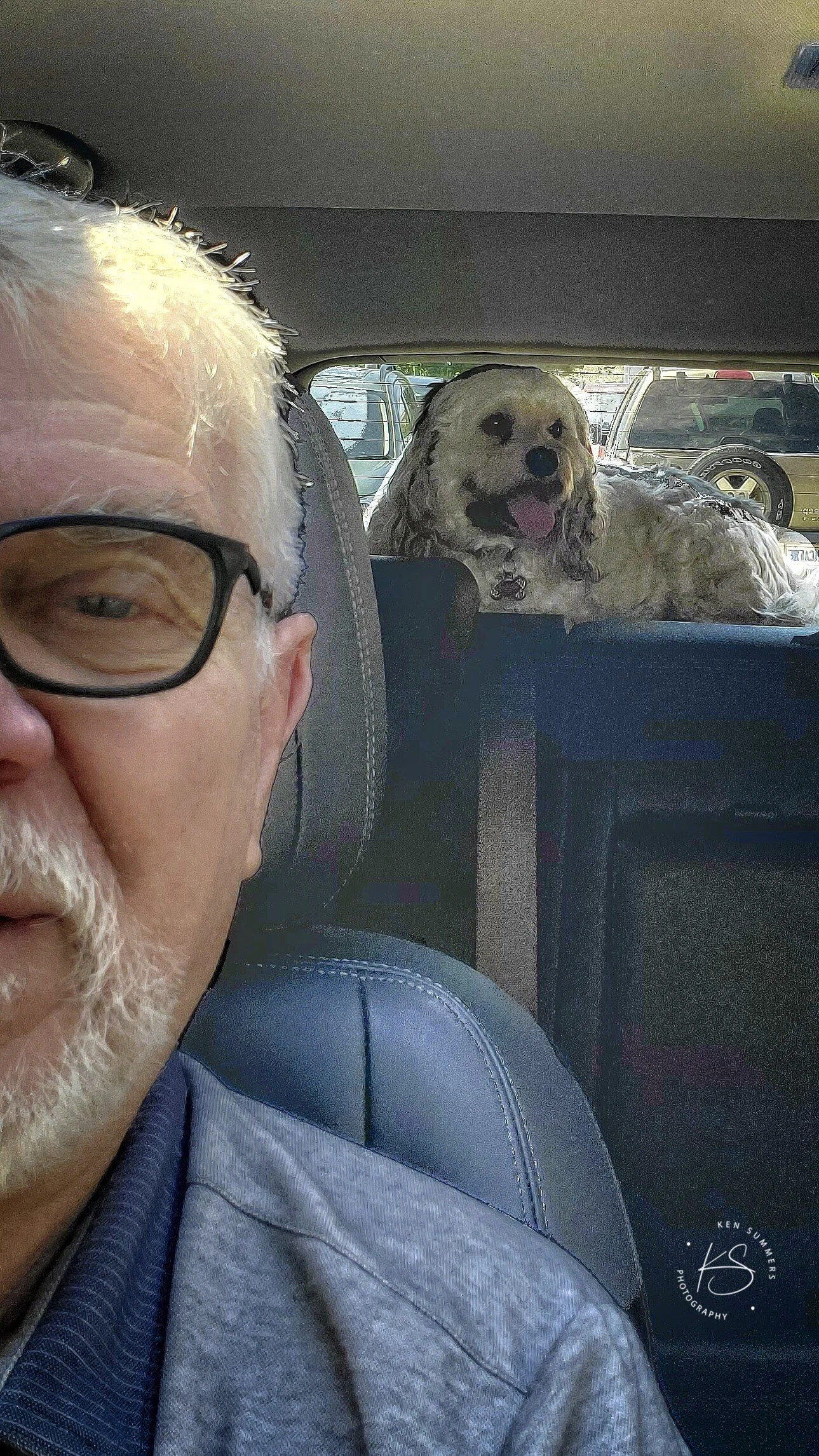 Doggie in the Window20200820_133724.jpg