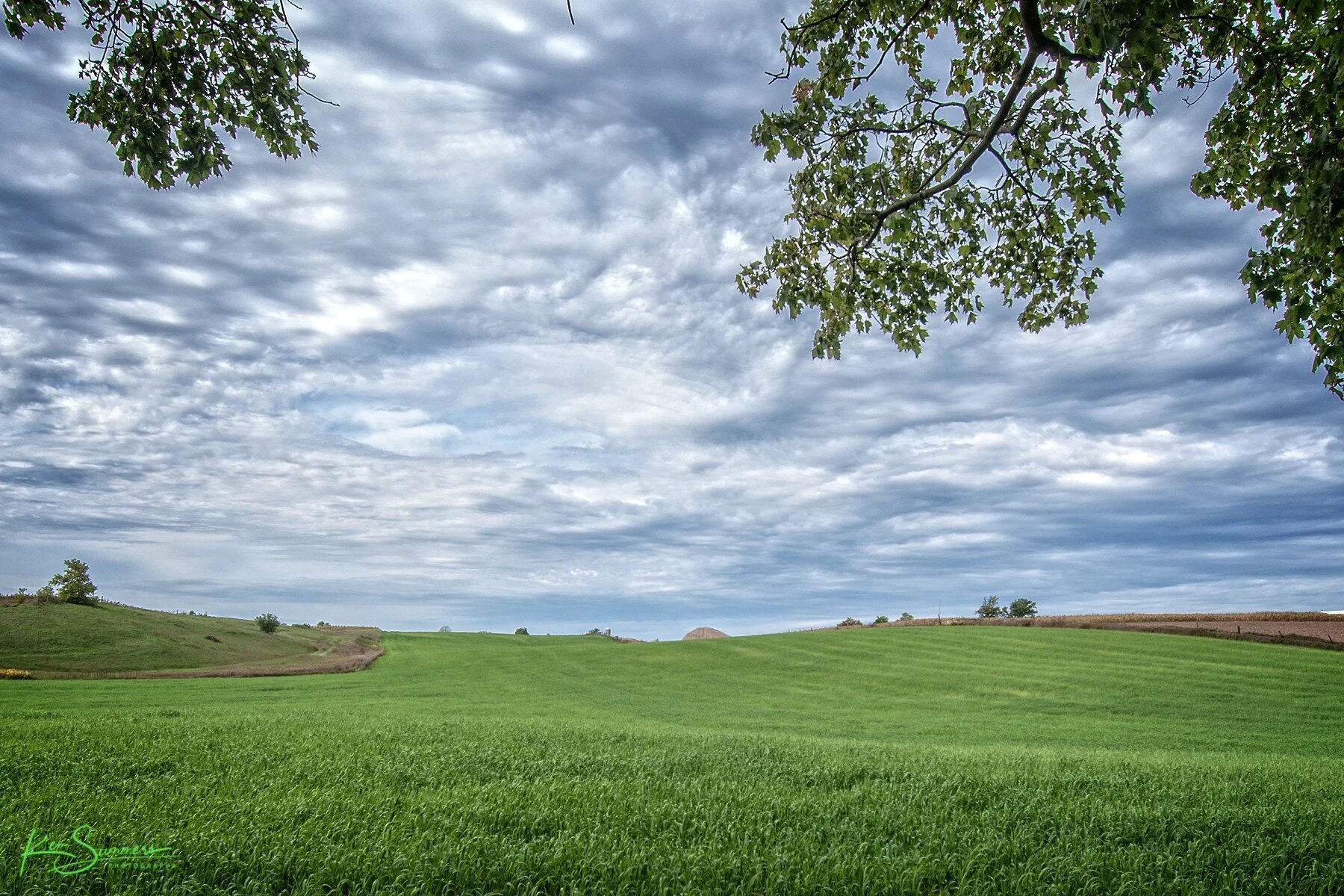_DSC1707 Country Sky near West Montrose-1.jpg