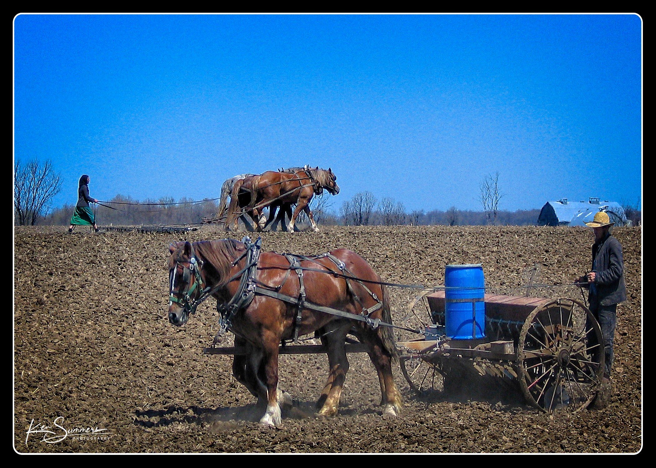 Sharing the Load 00104282006-1.jpg