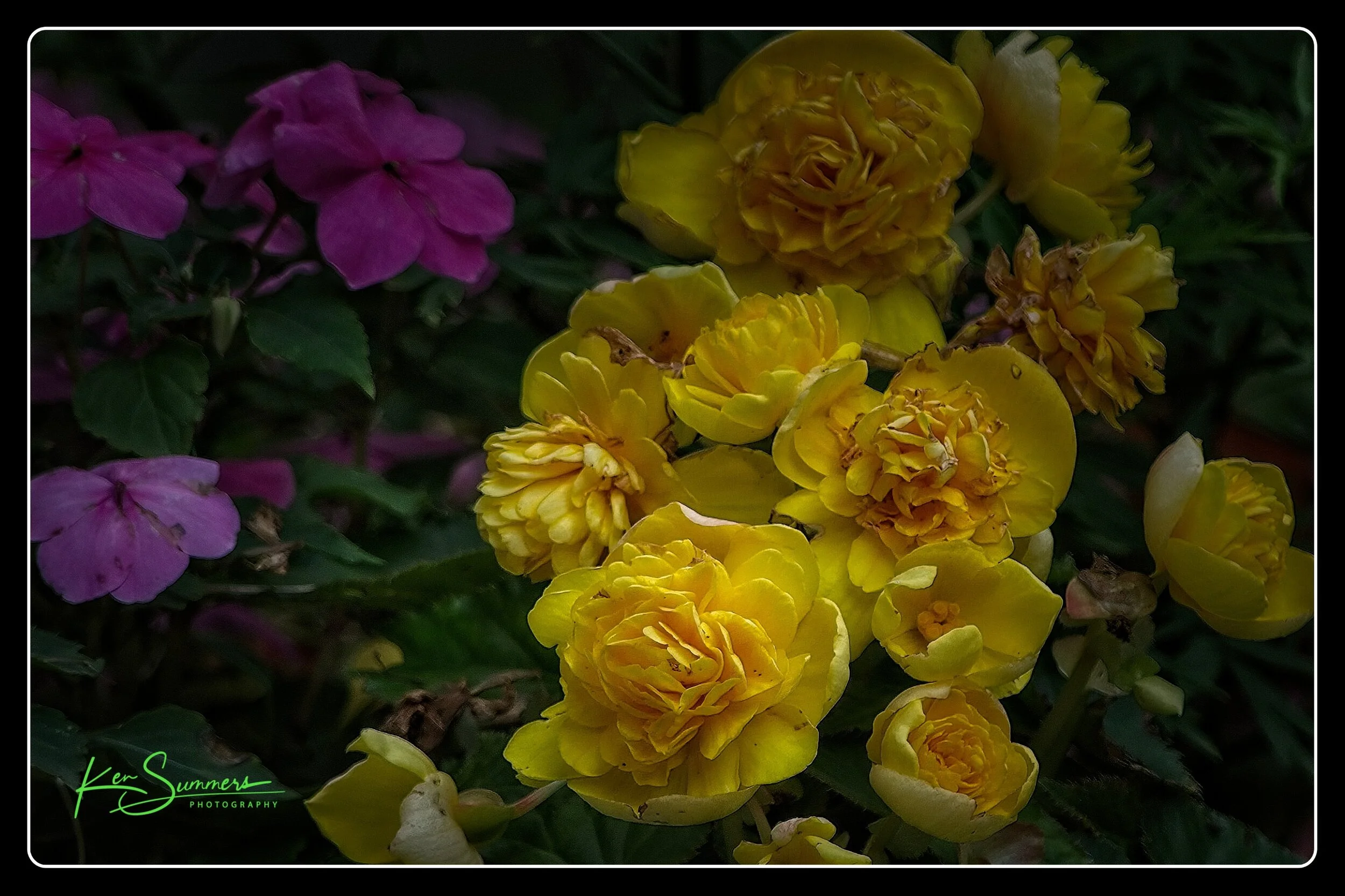 Yellow Floral display 07202021005.jpg