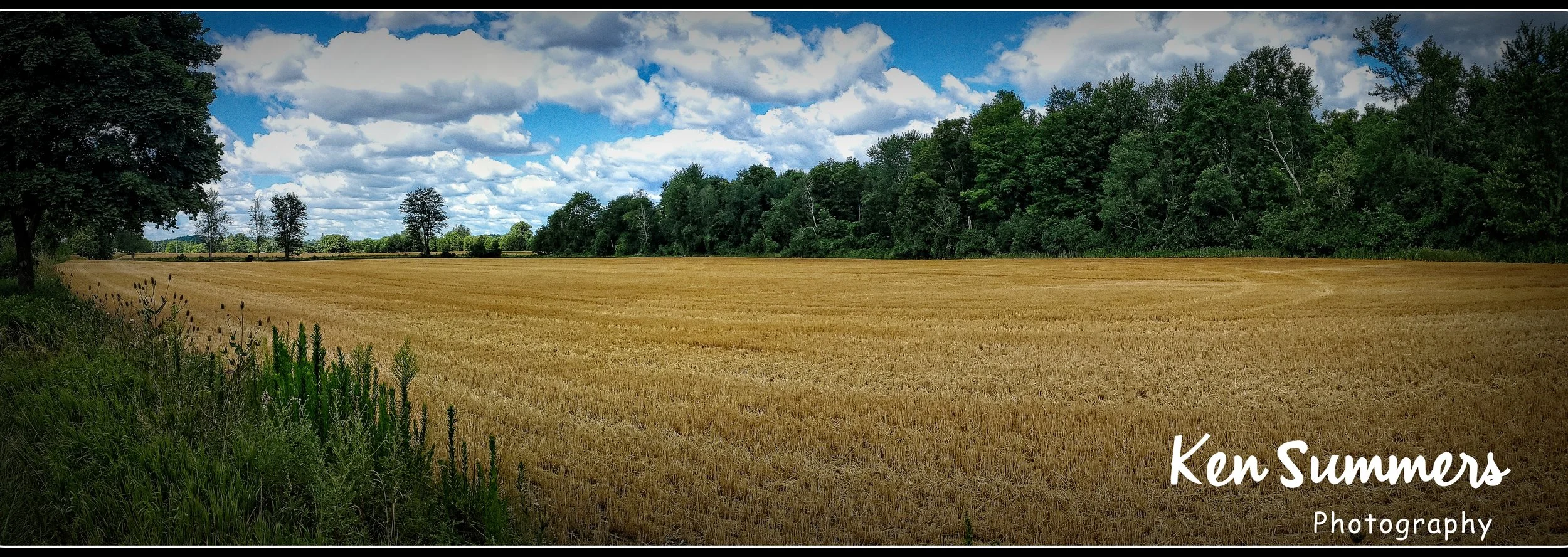Ontario Summer IMG_20220729_114503 Pano  001.jpg
