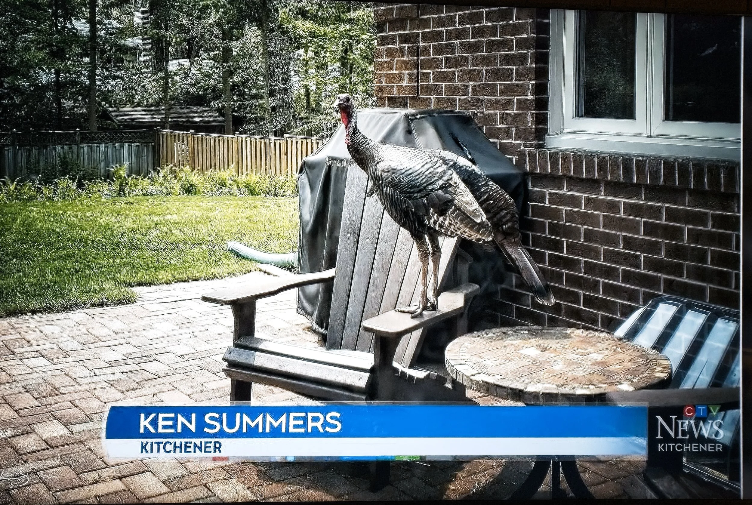 Turkey Weather Photo May 16, 2023 0524  011.jpg